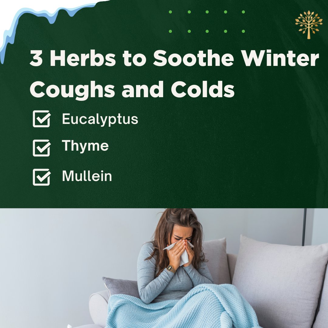 Soothe winter coughs and colds with these 3 herbal remedies! 🍵🤧 #EnjoyLifeHealthier #PurityProducts