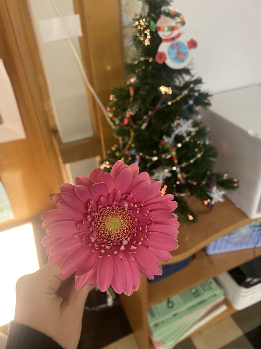 Anotha day, anotha flower gift ❤️