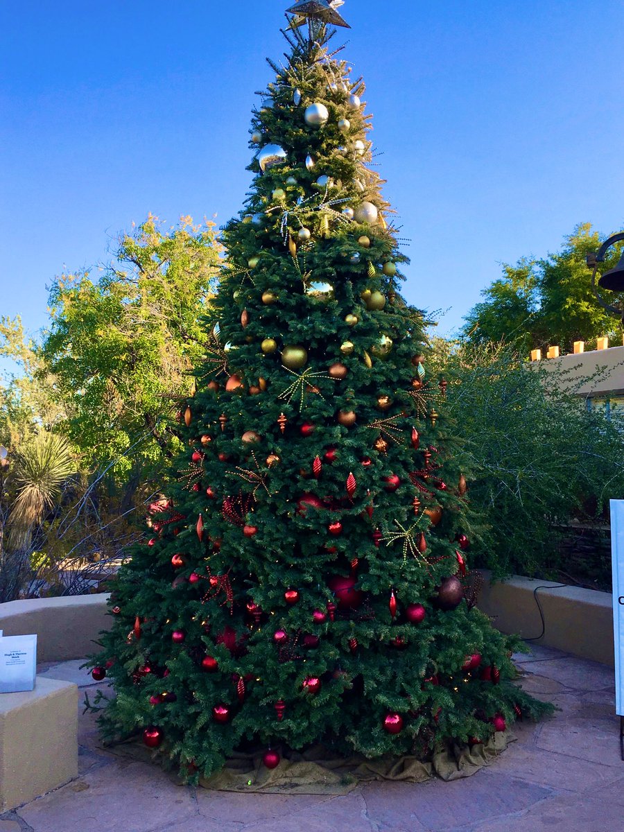 @obligatraveler @CharlesMcCool @FunInFairfax @intheolivegrov1 @OdetteDunn #Top4Theme #Top4DecoratedTrees 

@obligatraveler @intheolivegrov1 @OdetteDunn 

Reykjavik
Phoenix Zoo Lights
My tree
Desert Botanical Garden - Phoenix