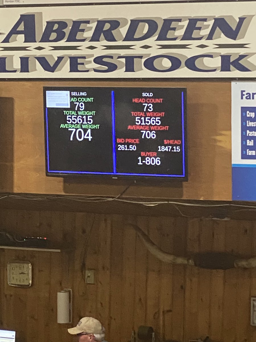 Feeders are selling well at Aberdeen Livestock