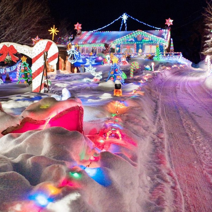 ❄️🌲❤️ Some traditions simply never get old... like bundling up, hopping in the car, and heading to North Rustico to take in the Christmas Light sights! 📷 Rachel Peters Photography