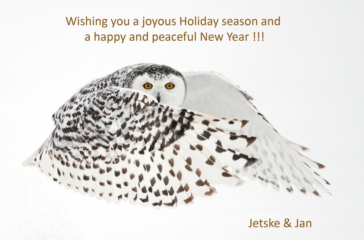 Seasonsgreetings The owl is a symbol for wisdom and is known for his silent flight. Silence is the language of the universe; it enables you to hear the whispering of your heart.