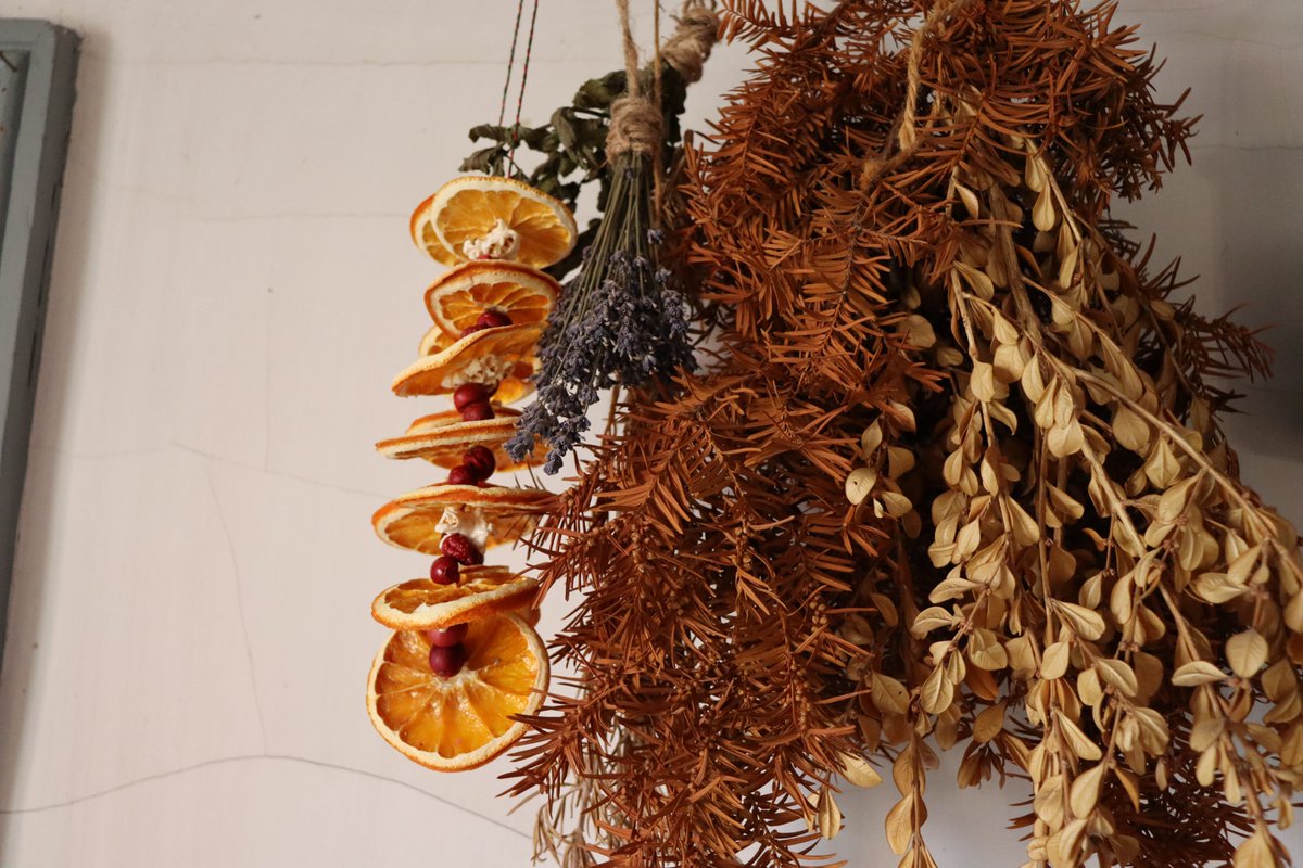 Public Programmer, Sloane McDowell, is back with a second holiday craft 🎄 Follow the tutorial below to make your very own Dried Fruit Garland to add that extra bit of cheer and tradition to your holiday décor.

Museum YouTube: youtu.be/-zVKq7j3FZk