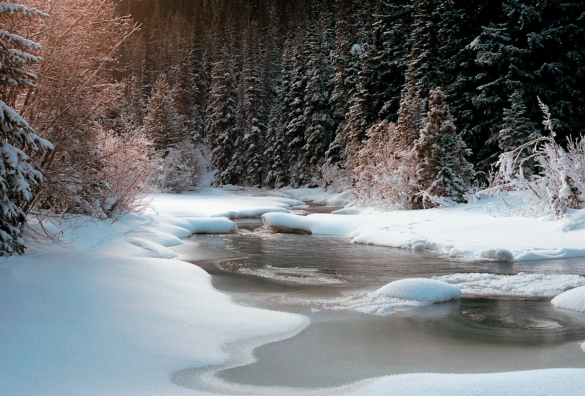 thedancam14's tweet image. A quick look back at Lost in the Frost Act I- Flow