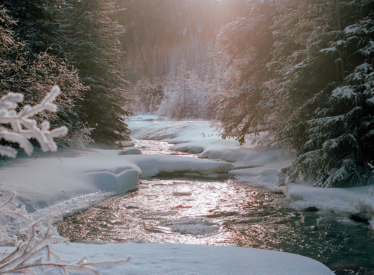 thedancam14's tweet image. A quick look back at Lost in the Frost Act I- Flow