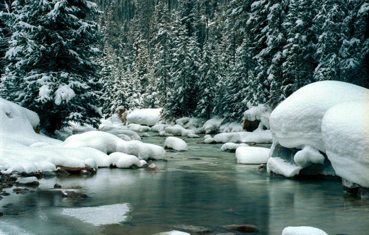 thedancam14's tweet image. A quick look back at Lost in the Frost Act I- Flow