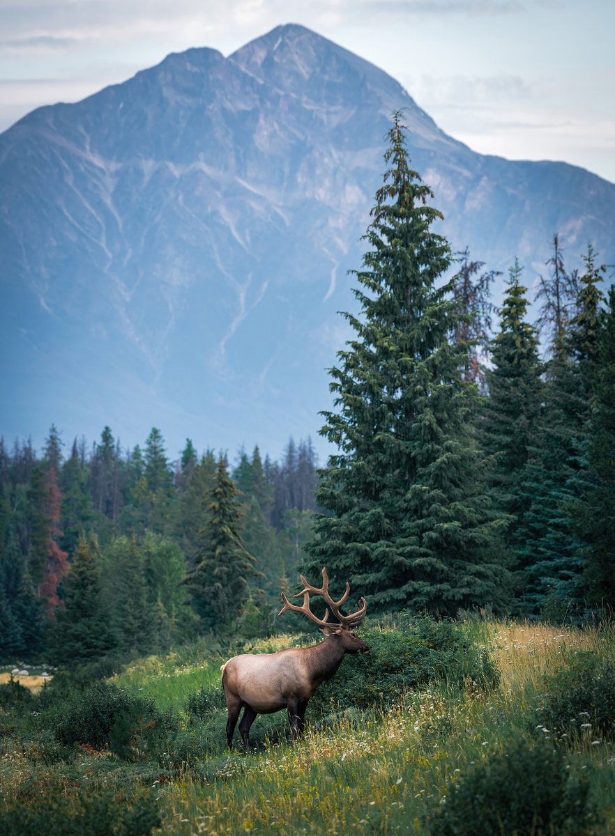 "Opportune"

My second 1/1 in my Wild Encounters series is now available on Exchange.

Reserve is set to 1.69 Sol 👇