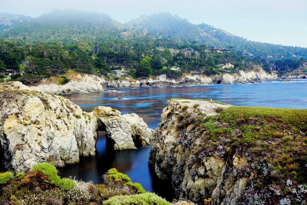 Pelican Point, Point Lobos.
#pelicanpoint #pointlobos #california #landscape #nature #photograghy