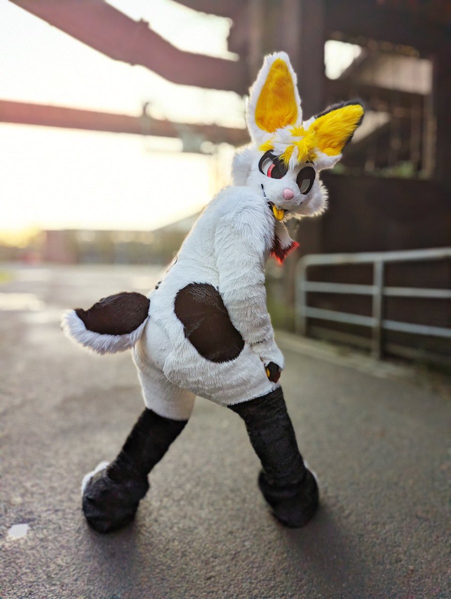 fonsthebun's tweet photo. bun butt 
bun butt
butt bun 

📸: @Keenora 💜 https://t.co/cmdCCSwbF3