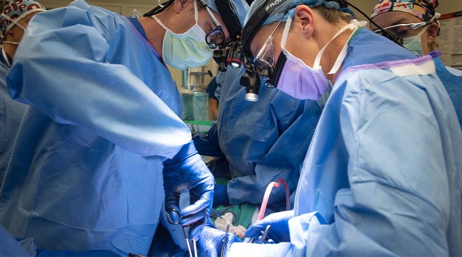 Two patients received successful autologous islet transplants, a significant clinical milestone at Stanford, achieved by a talented team including SDRC members Walter Park MD, Marina Basina, MD, and Varia Kirchner, MD stanfordhealthcare.org/stanford-healt…