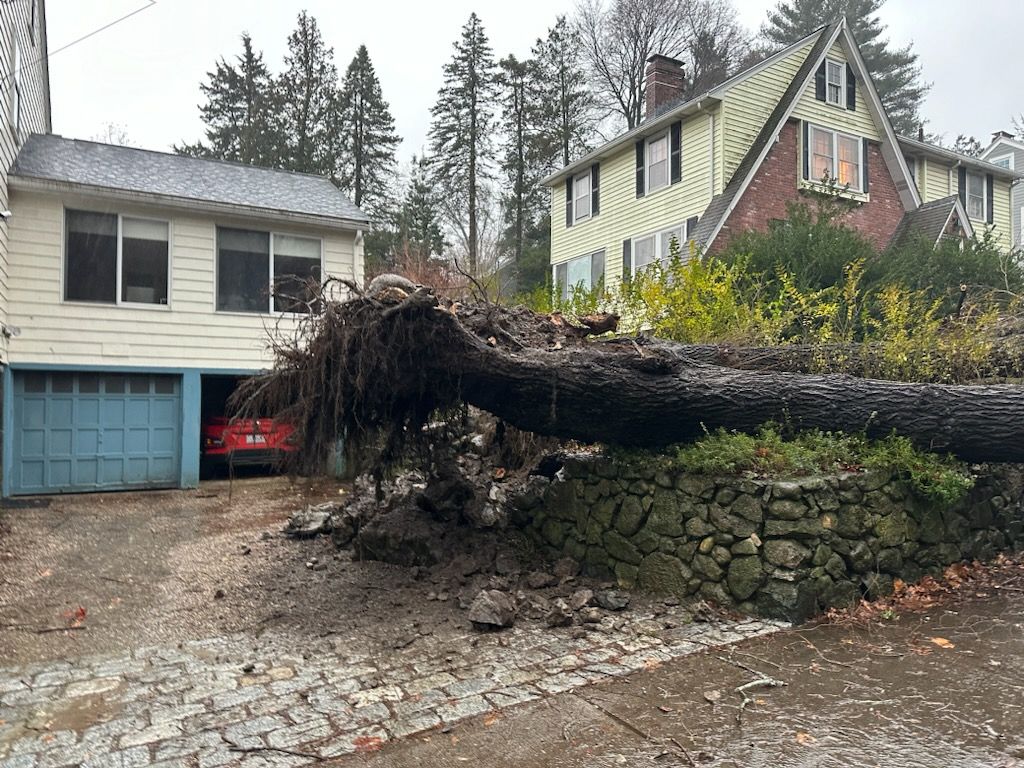 Here are some photos of what our crews have been facing today. Trees down throughout town due to the wet conditions and high winds. Remember to stay safe if you must leave your house and treat any downed wire as live - stay away and report it to us at 617-993-2800. 1/5