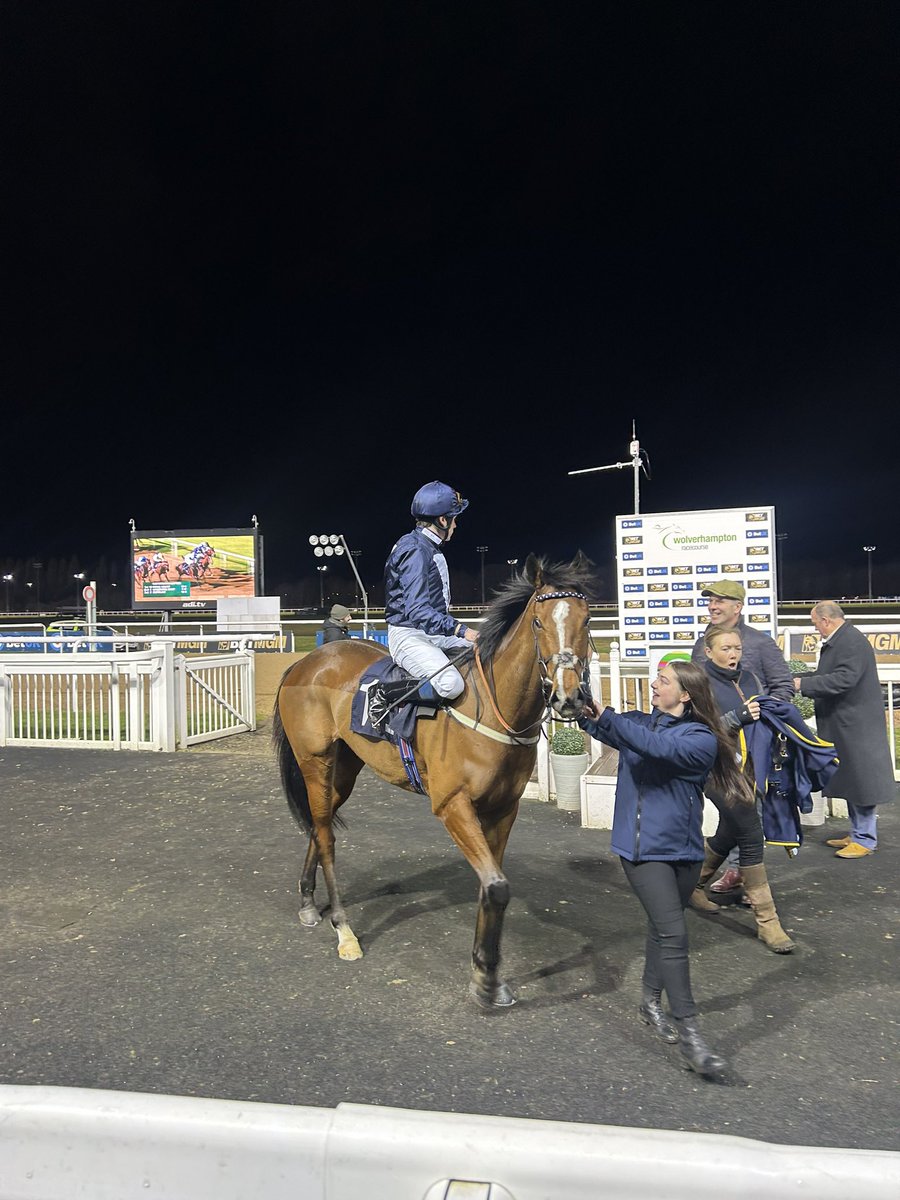 Royal Velvet @WKnightRacing @CallumSheppy @WolvesRaces 

WINNER 🥇🐎