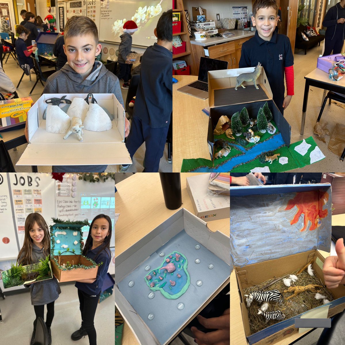 A few of the amazing and creative Habitat Dioramas these kiddos made! 🦊🦋🐍🐒🐢🐯 So impressed! @StGregoryHCDSB