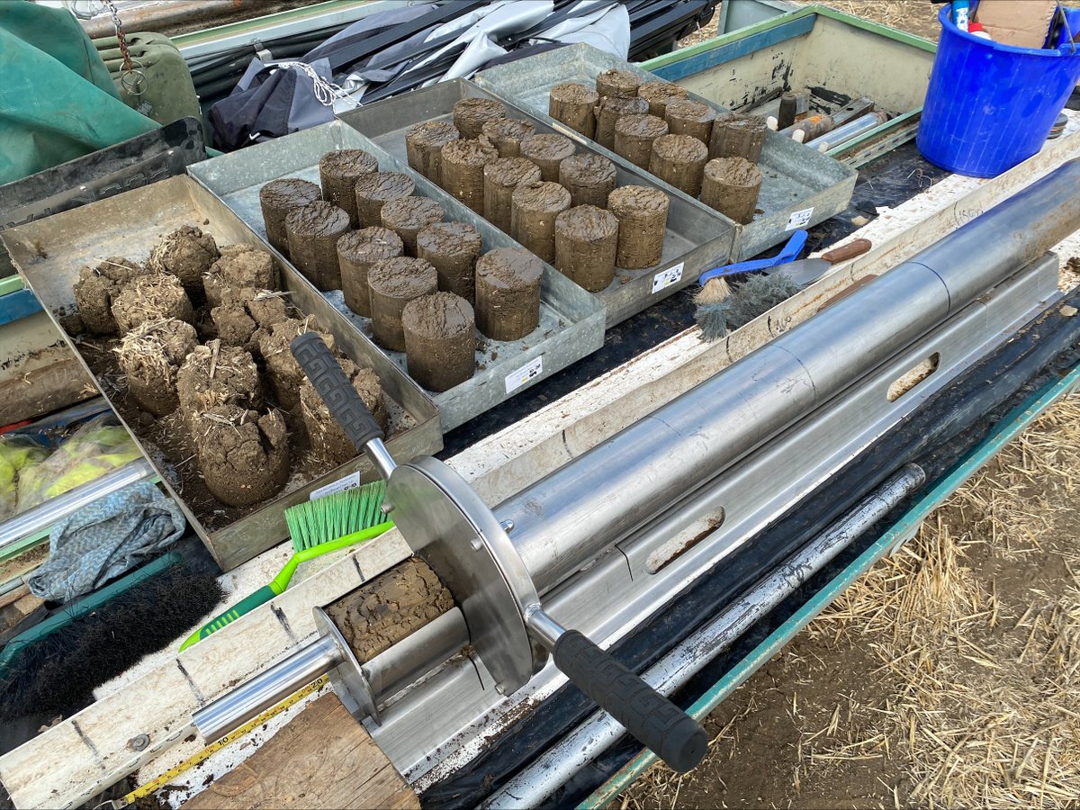 Soil cores from the TAI team recovering 15N isotope from pre-wheat urea. N not in soil or plant samples was lost from the system via N-loss pathways. 15N let us distinguish between N already in soil &amp; N added from fert
Part of a <a href="/theGRDC/">GRDC</a> project Predicting N Cycling &amp; Losses