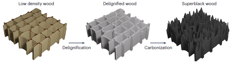 Scientists can manipulate wood to create materials that are superblack—or transparent. @SunjieYe highlights two very different @NatureComms articles, by @bdumattos @Orlando93842114 @AaltoUniversity @FinnCERES, & @ZhousLab @KTHuniversity. Read it here: rdcu.be/dtUDn