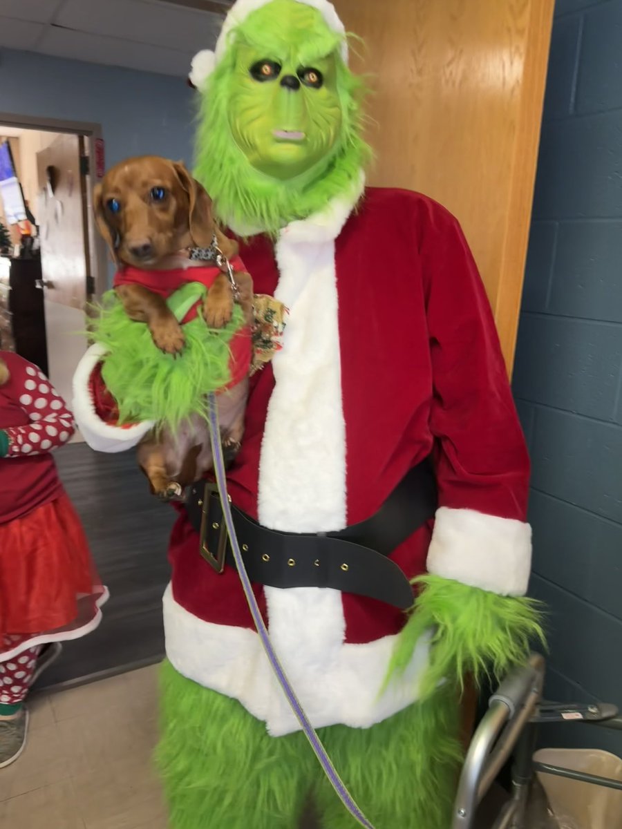 #HappyMonday Pals! 🐾💚❤️ Send Help… Da Grinch pupnapped me!!! 🤭 #DogsOfX #TheGrinch #MondayVibes