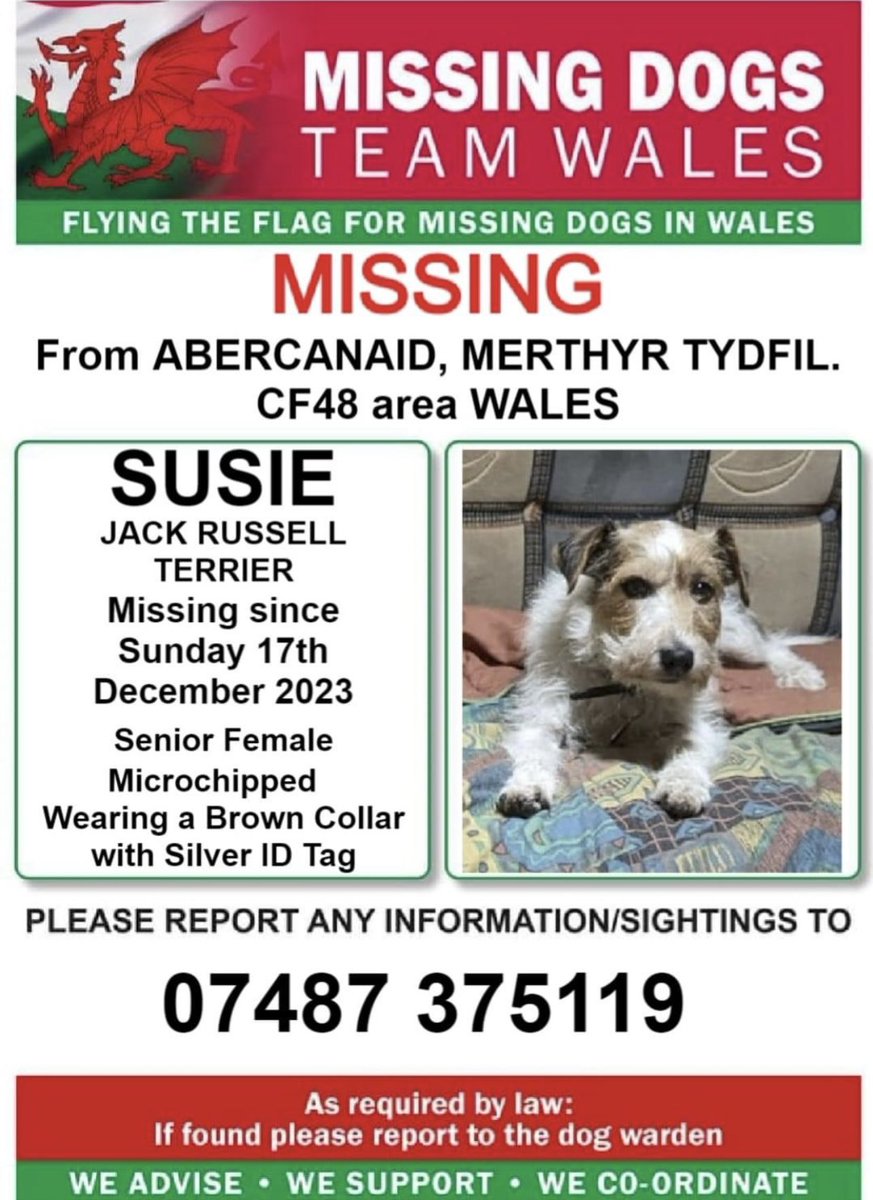 ‼️11YR OLD SUSIE IS MISSING SINCE SUNDAY 17/12/23
She is MICROCHIPPED & HAD A COLLAR with ID tag/ number on it so please look out for her ‼️@MERTHYRTYDFIL @WALES