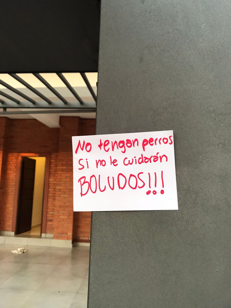 magacaballeroga's tweet image. IMÁGENES FUERTES🚫⚠️
Mientras la verdadera dueña de la perrita salió, la dejó en la casa con la “amiga”con quien vive  (la del video) no tuvo mejor idea que dejar a la perrita que muera de calor, (pero ella si le metió a su pug)la dueña vuelve y su perro MUERTO! @defensanimalpy