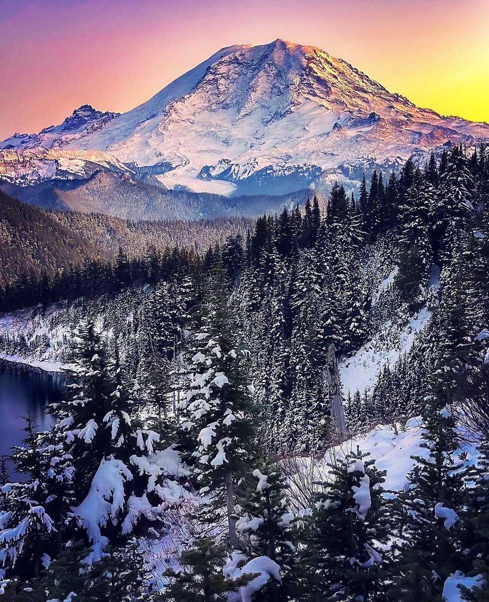 Nothing more magical than a wintery mountain scene like this ✨🤌🏽🫠🩷✨
📸 @hawaiian_grl_pnw 
#mountrainier #mountaincrushmonday #mtrainierwinter #visitrainier #tistheseason #magicalmoments #snowday #holidayseason #holidaytravel #seasonal #snowseason