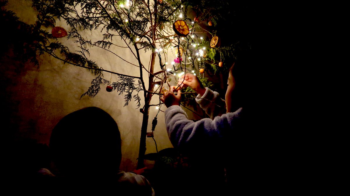 こどもと一緒に山から切り出す所からやるクリスマスツリー作り🎄

キャラバンでやりたかったことがまた１つ叶いました✨

ノコギリで切るのは楽しいみたい😊

#キャラバンのある生活 #日産　#キャラバン　#バンライフ　#DIY