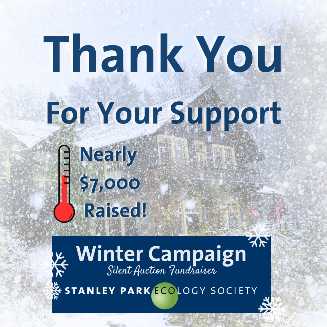 Thank you for participating in our winter campaign fundraiser! ❄️❄️🌲🌲🌡️🌡️ Together we successfully raised nearly $7,000 to support education, conservation, and research in Stanley Park! 📷 Greg Hart #fundraising #auction #stanleypark