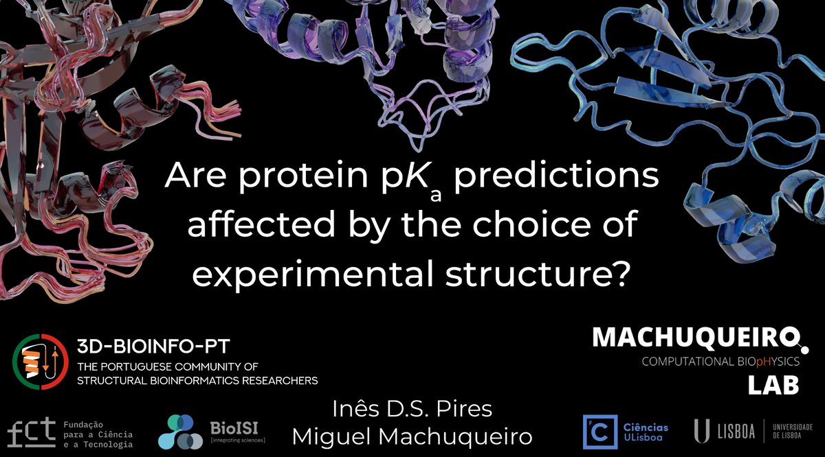 Inês D. S. Pires (@inesdspires) on Twitter photo Today I had the pleasure of opening the <a href="/3dBioinfoPT/">3D-Bioinfo-PT</a> talks with my work on how pKa predictions are affected by the experimental structure.
Thanks to everyone in the <a href="/MachuqueiroLab/">Computational BiopHysics Lab</a>. Today I had the pleasure of opening the <a href="/3dBioinfoPT/">3D-Bioinfo-PT</a> talks with my work on how pKa predictions are affected by the experimental structure.
Thanks to everyone in the <a href="/MachuqueiroLab/">Computational BiopHysics Lab</a>.