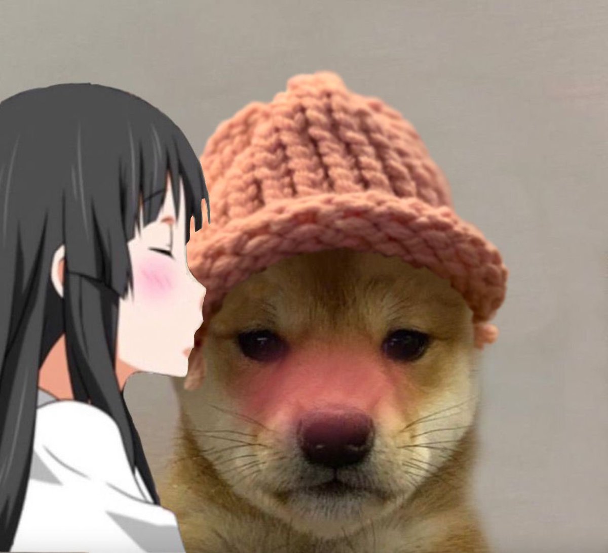 it’s literally a dog $wif a hat