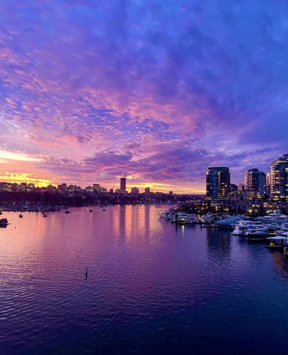 The best view 🥰⁠
⁠
Credit: u/Commercial_Ferret685 (Reddit)⁠
⁠
#falsecreek #vancouverbc #vancity #vancityscape #sunset #sunsetlover#vancityhype #vancityvibe⁠