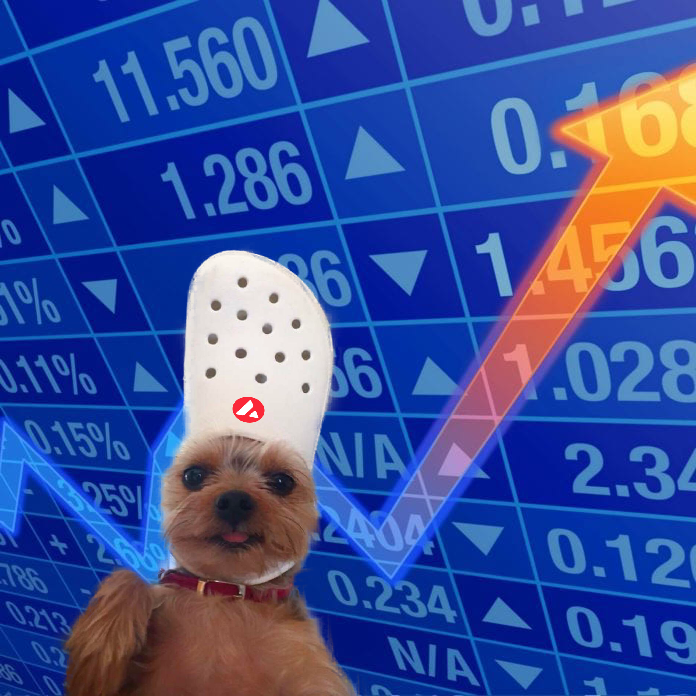 Dog wif Crocs tweet media