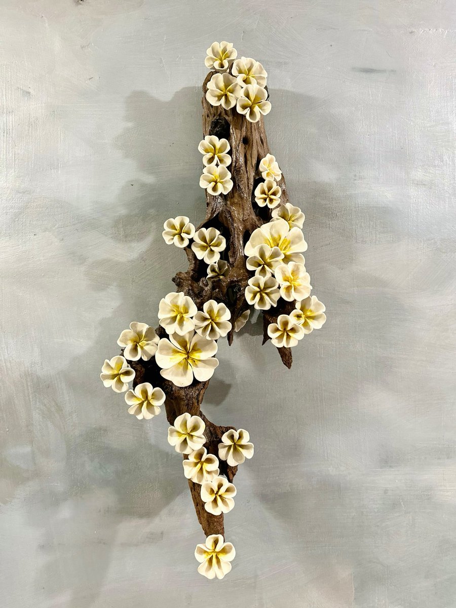 ART is where WORK meets LOVE

ceramic plumeria wallhang with backlight on driftwood created by yours truly Likhang Alab Ph

#potteryph #electrickiln #stonewarepottery #ceramicart #supportlocalartisans #wallhang #walldecorationideas #walldecor #plumeria #driftwood #localph