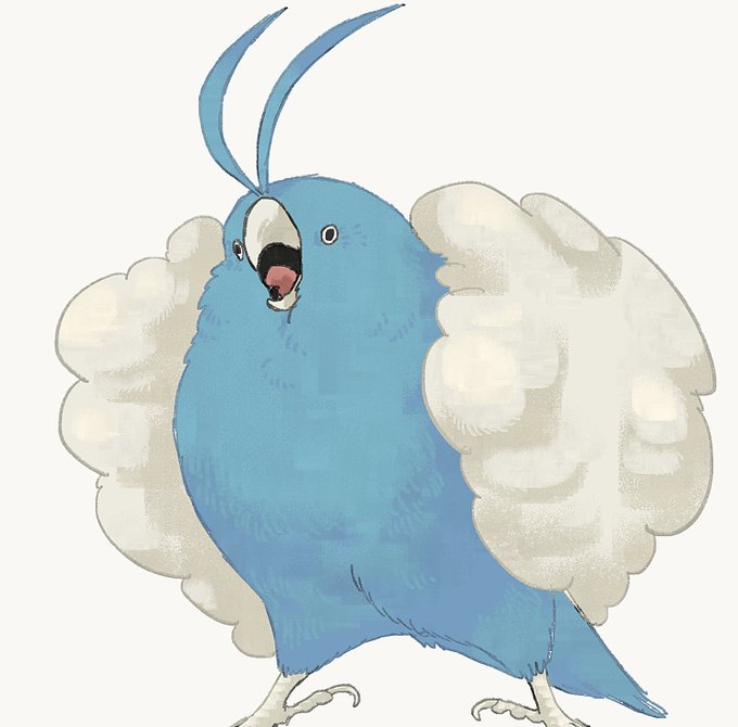 「鳥 シンプルな背景」のTwitter画像/イラスト(人気順)