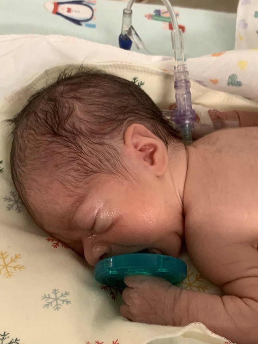 Hector Quiroga tweet media