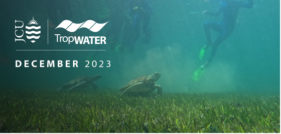 Check out our latest newsletter 👉 Water security challenges, dugong population declines, promising seagrass regrowth, farmers connecting with science, and more. 🌱🌊🪸🔗 bit.ly/3txMrj3