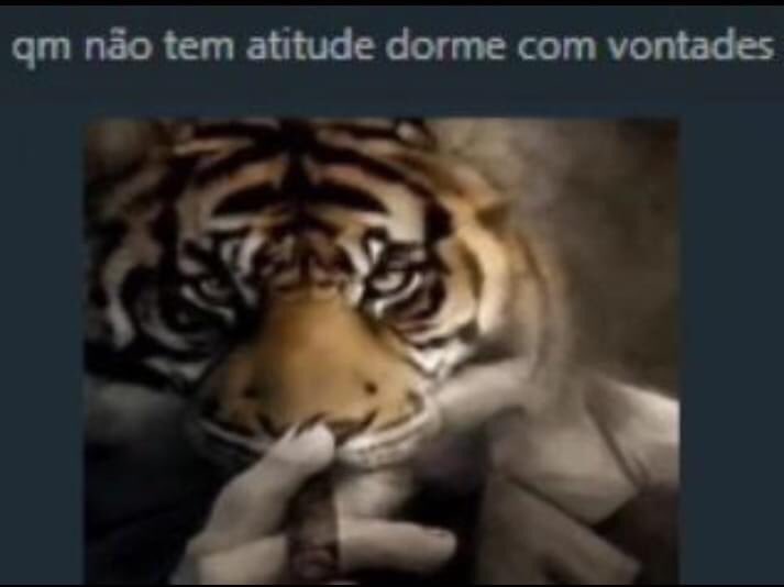 Um tigre com um rosto preto e branco e a palavra tigre nele