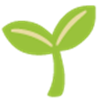 HopeCorpXRP's tweet photo. Embrace the Season of Giving: Plant a Tree, Spread Hope. 

 #Decembertoremember
#HopeCorp" https://t.co/L9TflOhzCM