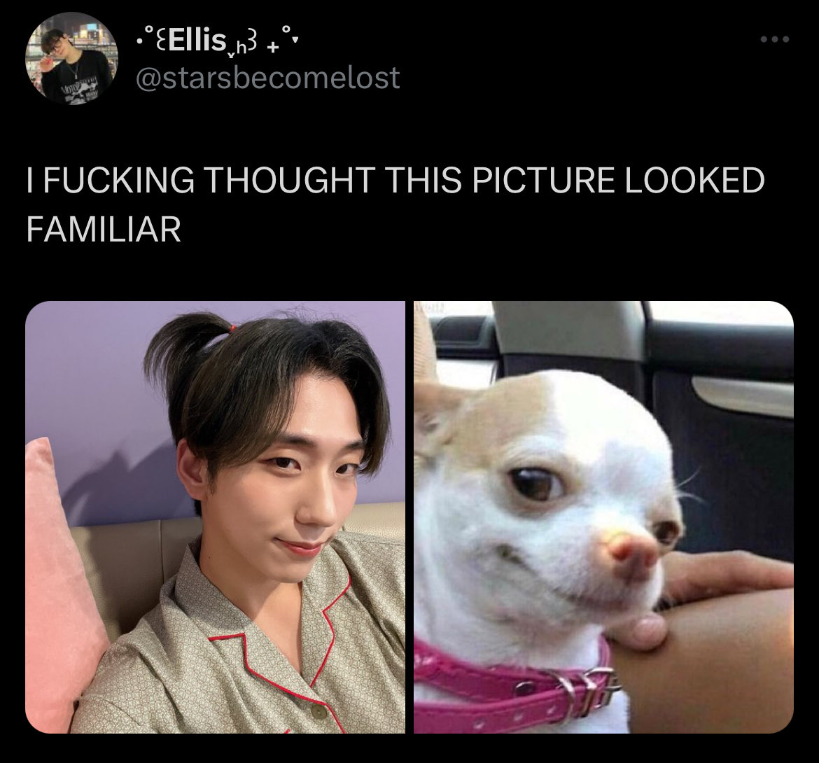 Xstate Hall Of Fame (@xstatehof) on Twitter photo 