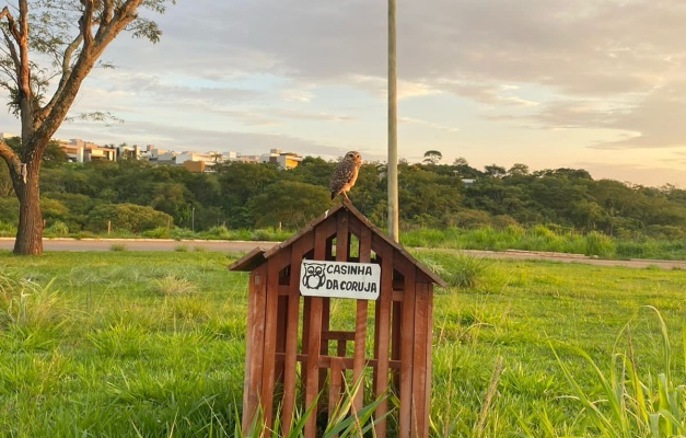 A Redação - Notícias de Goiás e Goiânia