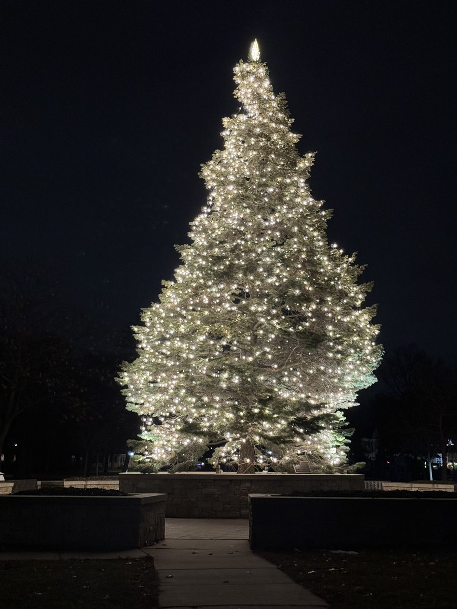 Appleton's City park now sparkles with holiday spirit ! 🎄 A big shoutout to our City of Appleton Public Works and Appleton Parks and Recreation teams for making this festive season brighter!! 🎄🎅 #cityofappleton