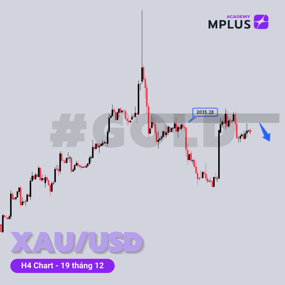 MPlus_Academy's tweet image. 📊Phân tích #GOLD
- #Vàng trụ vững bên trên mốc 2.020$ khiến cho đà giảm tạm thời chững lại.
- Biên độ của Vàng tạm thời có thể bị thu hẹp, dự kiến từ 2.035$ - 2.016$

👋Group thảo luận: zalo.me/g/jxvgte308

#mplusacademy #XAUUSD #giavanghomnay #tradegold