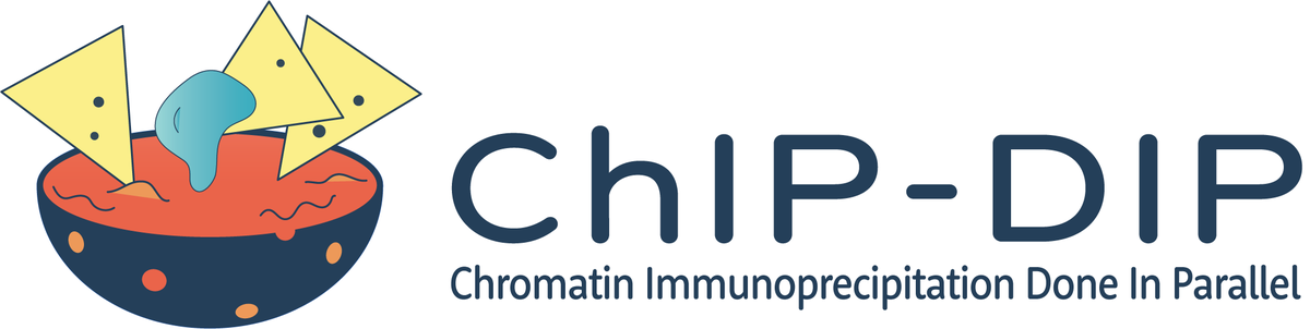 Gene expression involves thousands of proteins that bind DNA, yet comprehensively mapping these is challenging. We developed ChIP-DIP – a method for simultaneous, genome-wide mapping of hundreds of DNA-protein interactions in a single experiment. biorxiv.org/content/10.110…