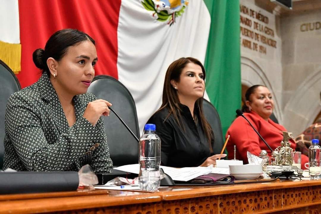 Hoy en la LXI Legislatura del Estado de México se aprobó por unanimidad el #PaqueteFiscal2024 y se clausuro el primer periodo del tercer año legislativo .
Ademas se instaló la Comisión Permanente de la cual tengo la oportunidad de ser parte. ✨🌞
#ViriFuentesDiputada