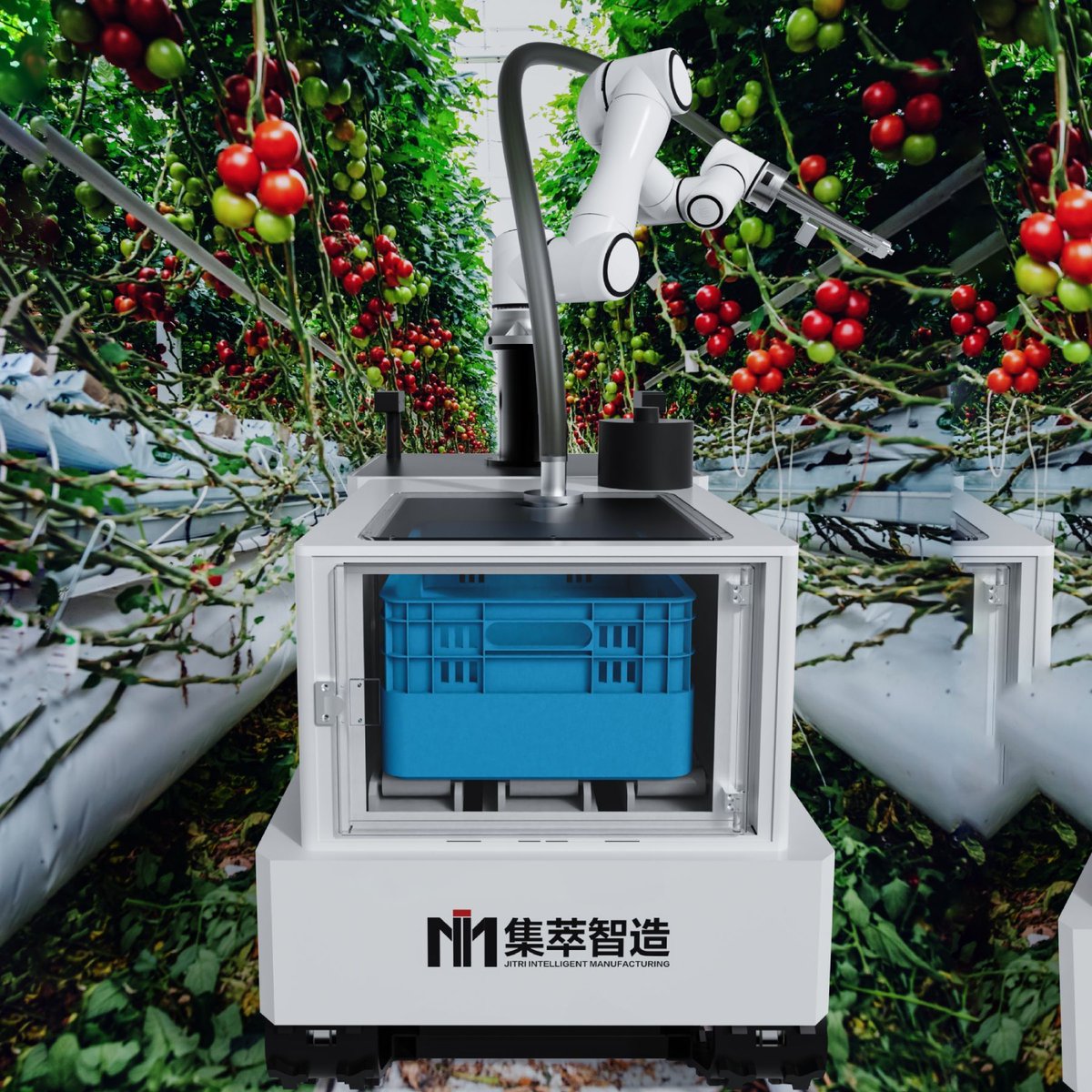 IIMTrobotCN's tweet image. Agricultural fruit and vegetable picking robots has made the picking of fruit and vegetable farms more efficient. At the same time, it is equipped with a visual recognition camera to improve the accuracy of picking according to the color of different fruit crops. #tomatorobot