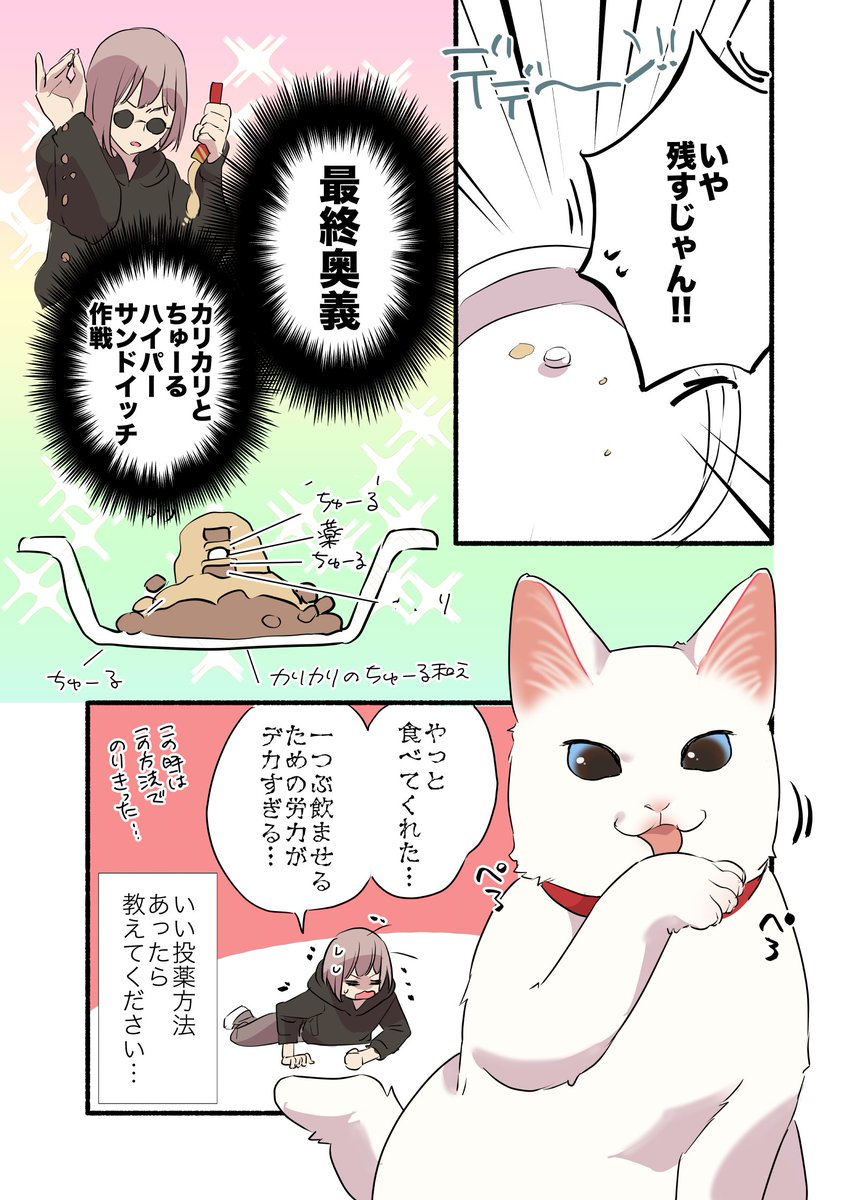 猫の投薬治療、どうしてます?って話😭
 #漫画が読めるハッシュタグ
 #愛されたがりの白猫ミコさん 