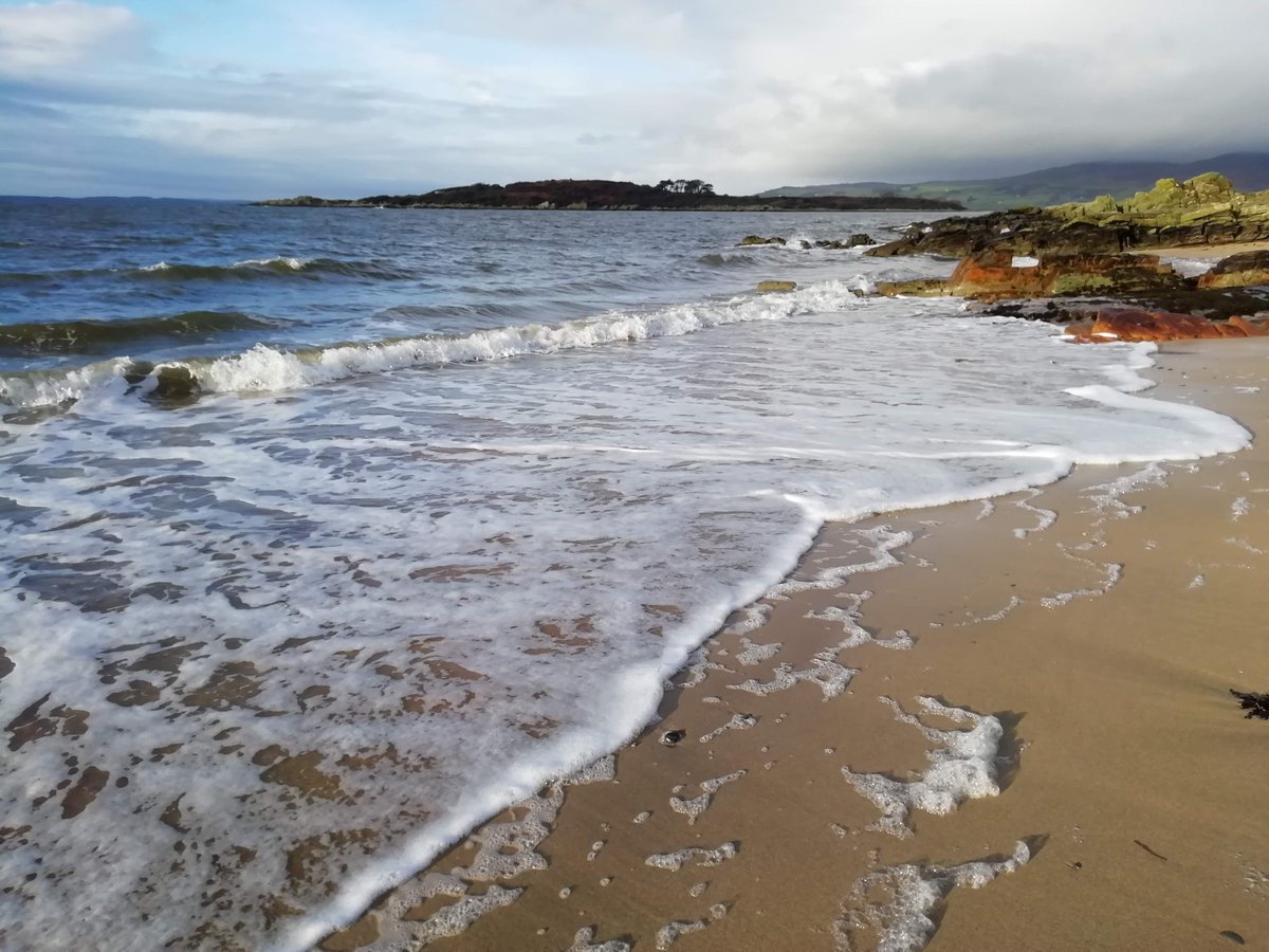 Galloway NPA tweet media