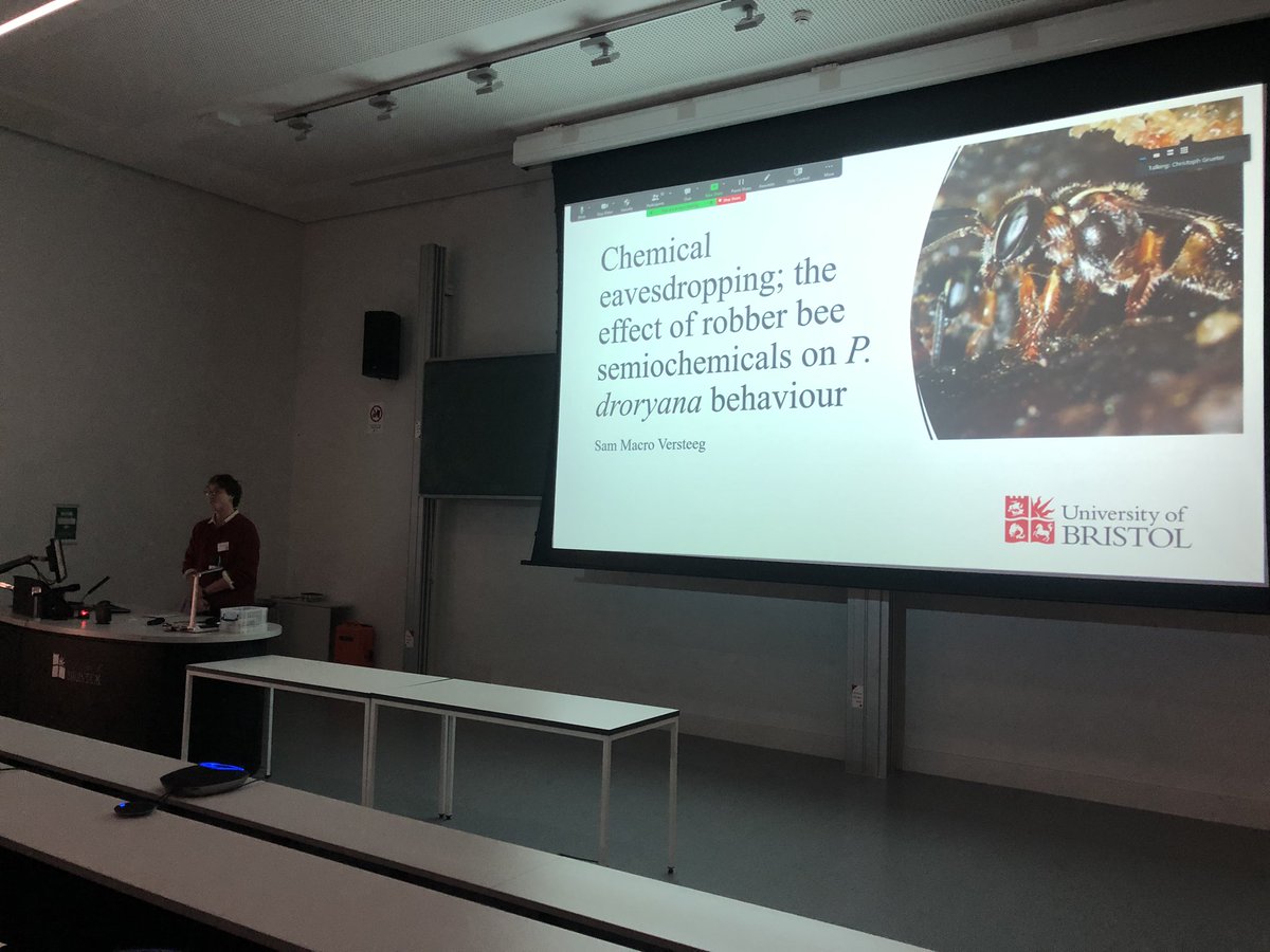 Sam Marco Versteeg is next up, taking about stingless bees and chemical eavesdropping #iussiBristol