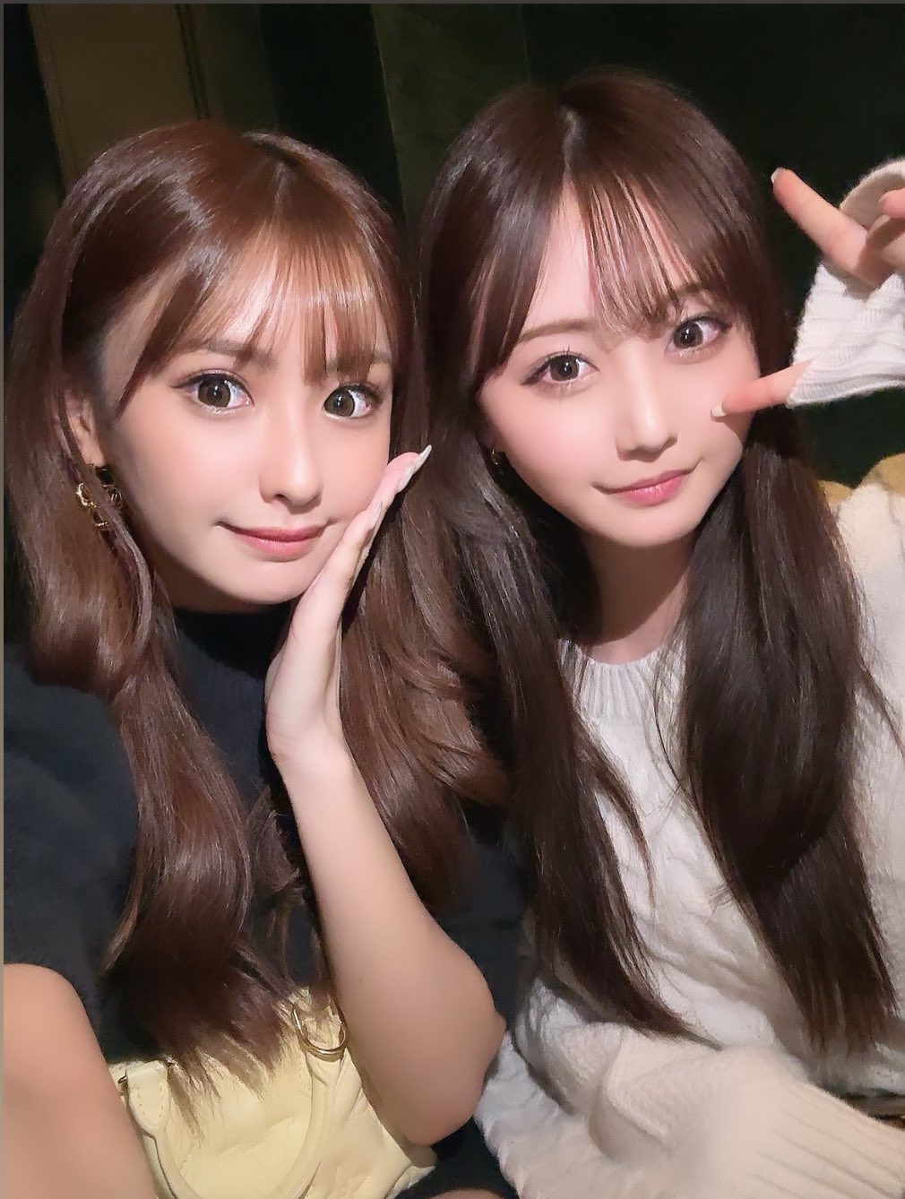 ふわにゃ on X: ふわにゃ on X: