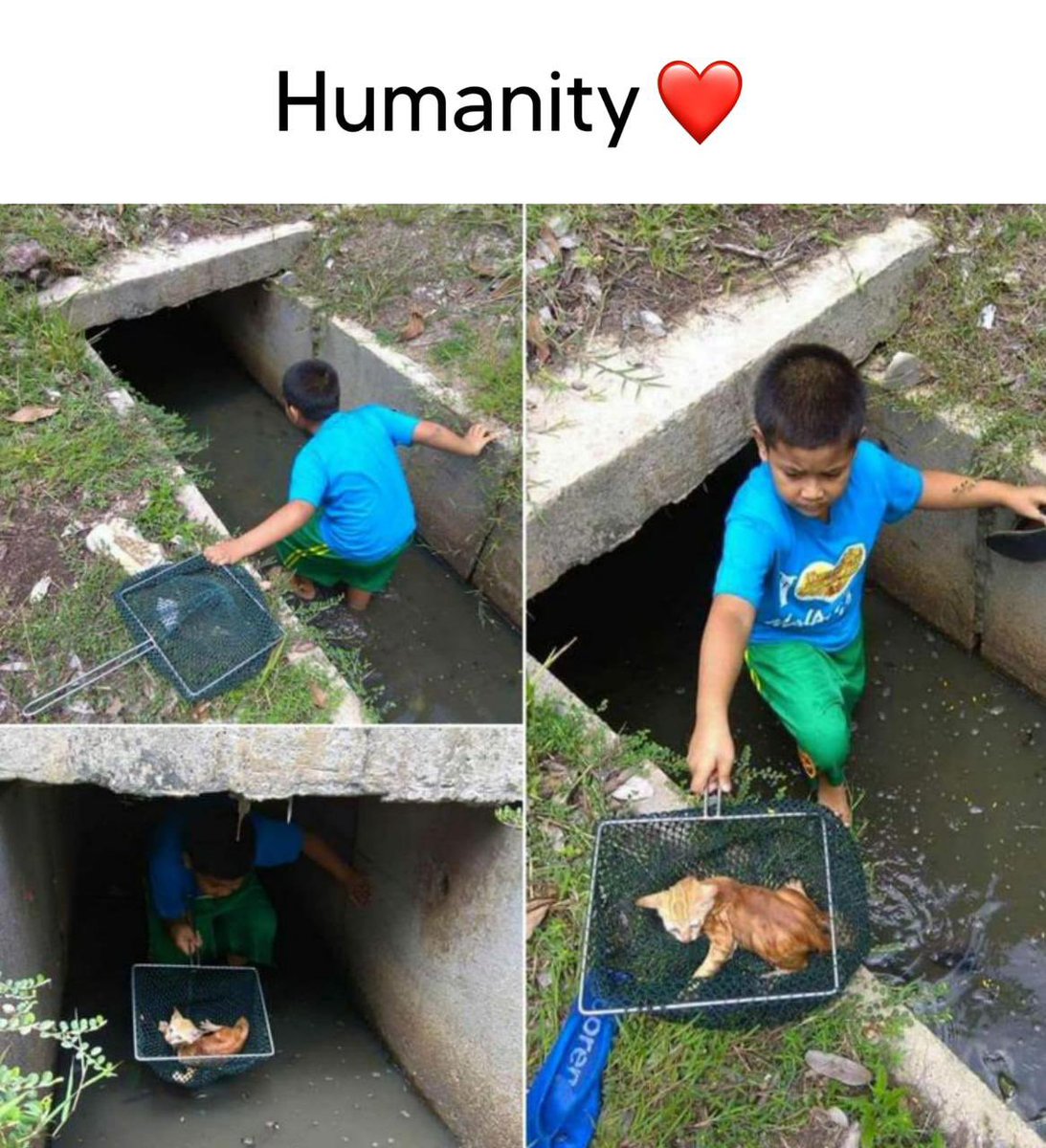 #HumanityPrevails ❤️