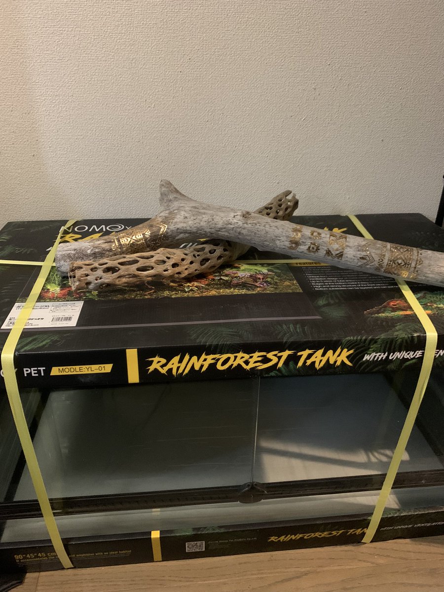 dschinnihookah's tweet image. カーペット用に買ってきたからあとは床材だけ😶
#carpetpython
#カーペットパイソン