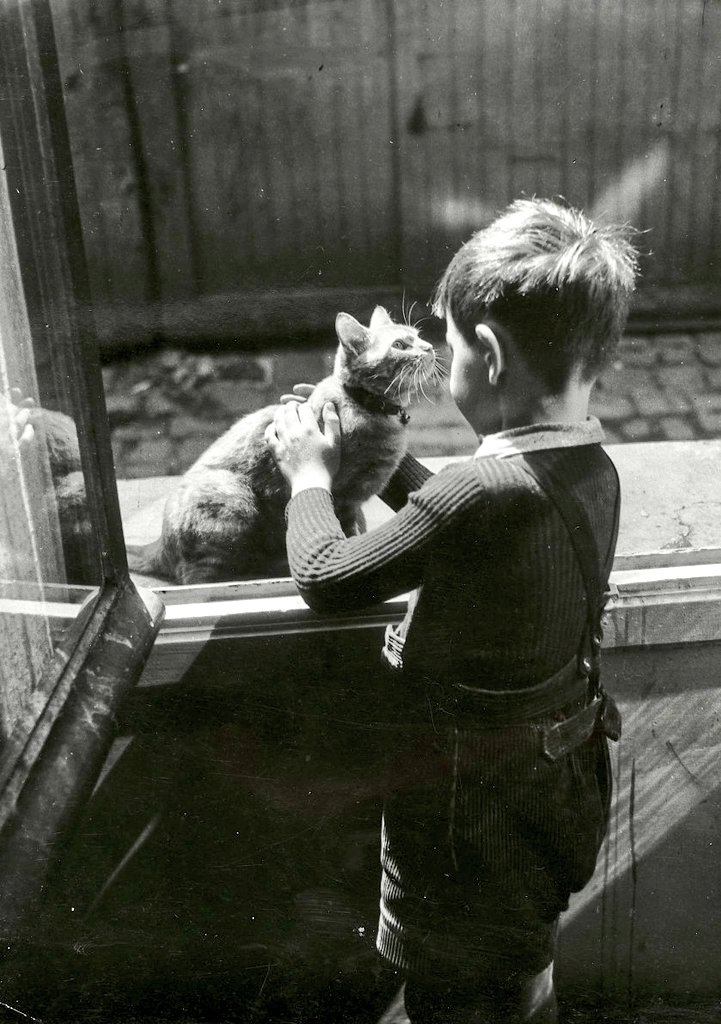 Willy Ronis. Le chat de la concierge 1947. Paris