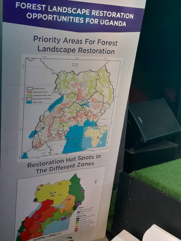 ROOTSUganda's tweet image. 🌳 Big news! 
As @nbstv  celebrates its 15th birthday, they have made a significant announcement that will surely catch everyone&apos;s attention. NBS is officially joining ROOTs. The media partner is committed to a remarkable collaboration to green Uganda. #RunningOutOfTrees